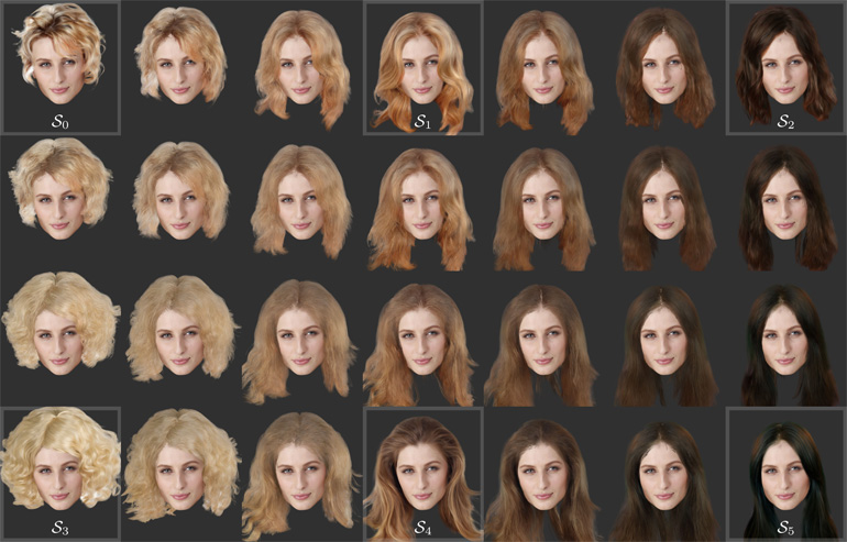 hair interpolation results